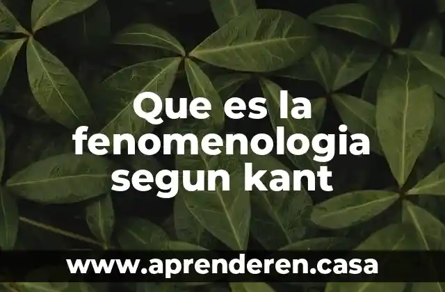 Que es la fenomenologia segun kant