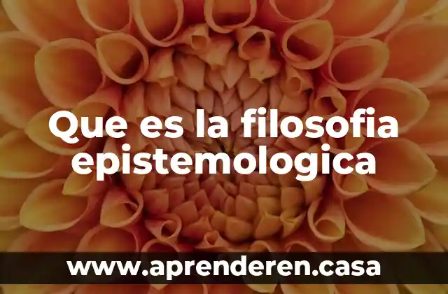 Que es la filosofia epistemologica