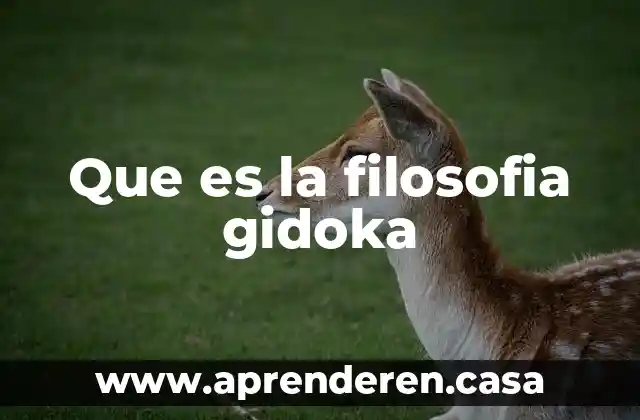 Que es la filosofia gidoka
