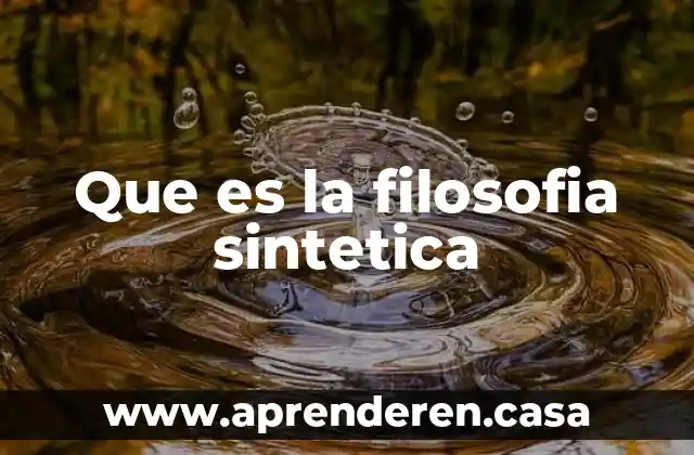 Que es una persona sintetica 3 Que es la filosofia sintetica