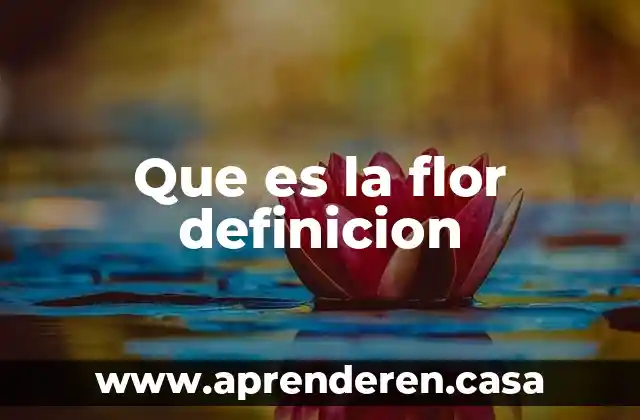 Que es la flor definicion