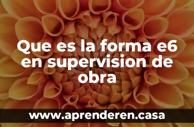 Que es una obra sita en una obra en construccion 4 Que es la forma e6 en supervision de obra