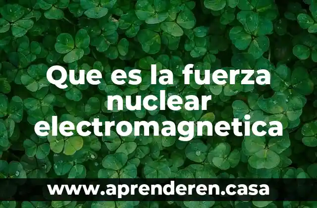 Que es la fuerza nuclear electromagnetica