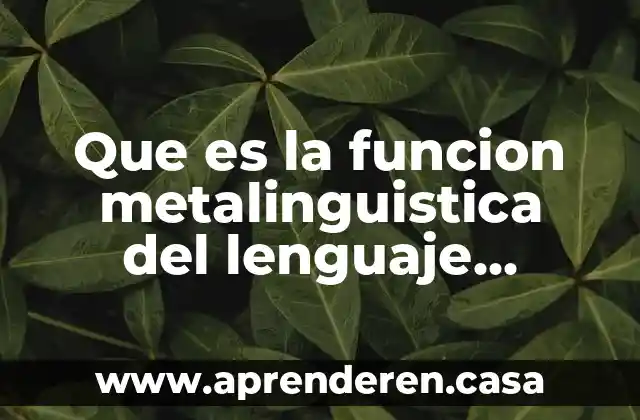 Que es metros y ejemplos 6 Que es la funcion metalinguistica del lenguaje ejemplos