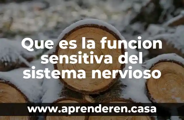 Que es la funcion sensitiva del sistema nervioso