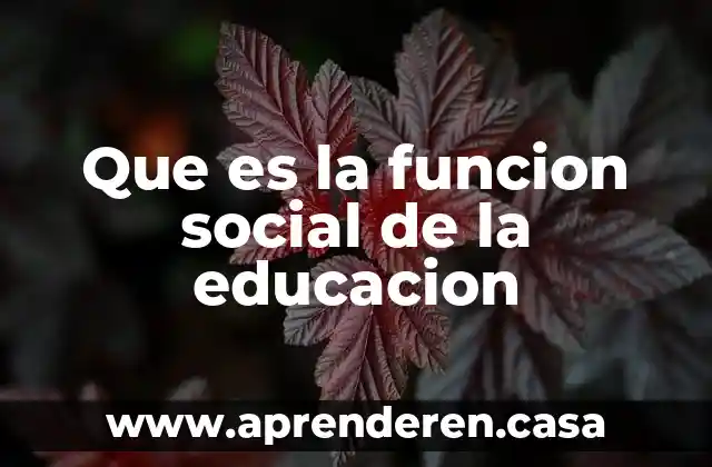 Que es la funcion social de la educacion