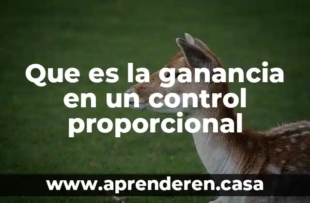 Que es la ganancia en un control proporcional