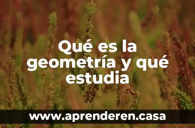 Qué es la geometría y qué estudia