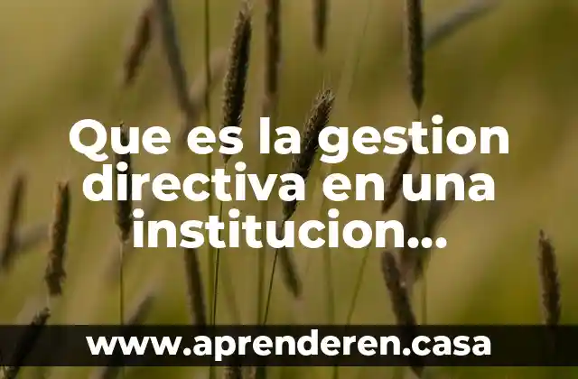 Que es la gestion directiva en una institucion educativa
