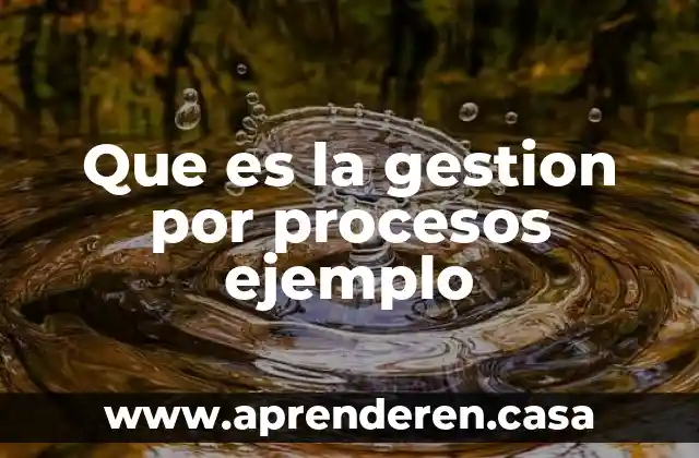 Que es la gestion por procesos ejemplo