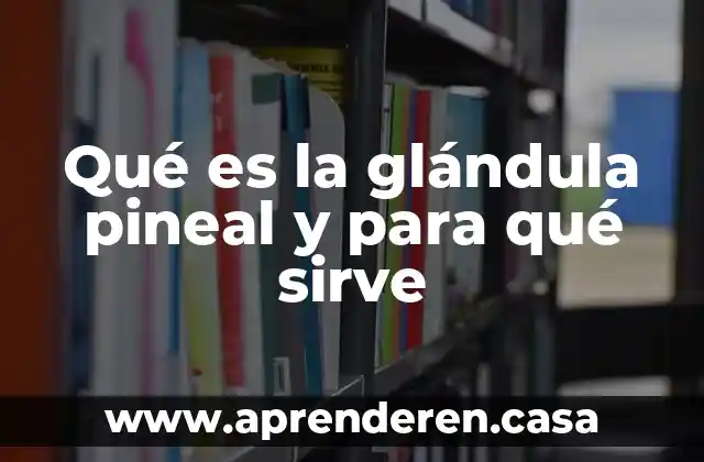 Qué es la glándula pineal y para qué sirve