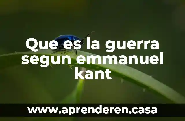 Que es la guerra segun emmanuel kant