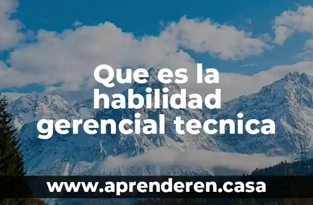 Que es la habilidad gerencial tecnica