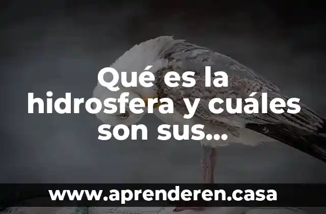 Qué es la hidrosfera y cuáles son sus componentes