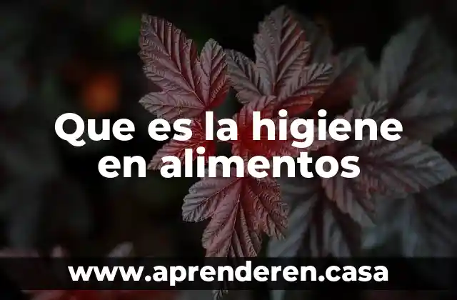 Que es la higiene personal oms 3 Que es la higiene en alimentos