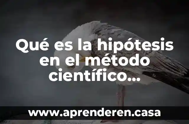 Artículo científico que es una recopilación de artículos 8 Qué es la hipótesis en el método científico experimental