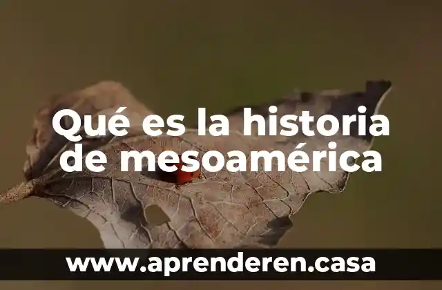 Que es la totalidad el la historia 5 Qué es la historia de mesoamérica
