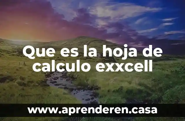 Que es funcion en una hoja de calculo 7 Que es la hoja de calculo exxcell