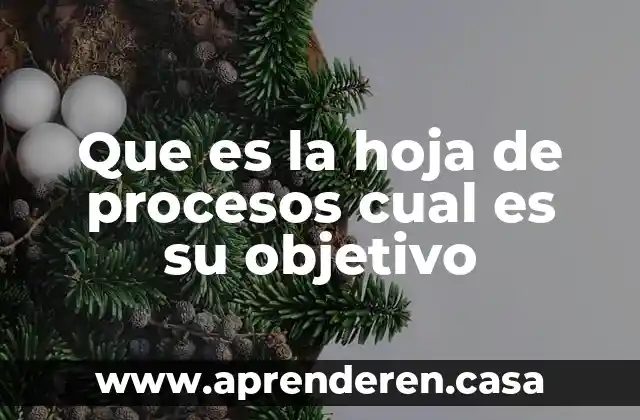 Que es la hoja de procesos cual es su objetivo