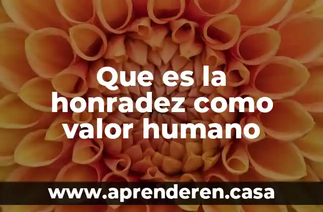 Que es la honradez como valor humano