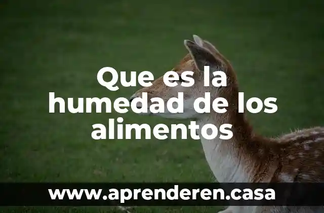 Sirve para medir la humedad que es el instrumento 3 Que es la humedad de los alimentos