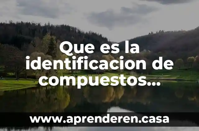 Que es la identificacion de compuestos organicos