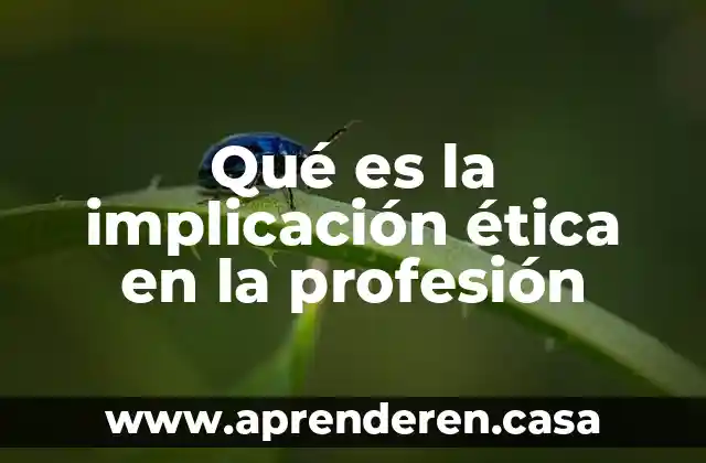 Que es implicacion o condicional en matemáticas 7 Qué es la implicación ética en la profesión
