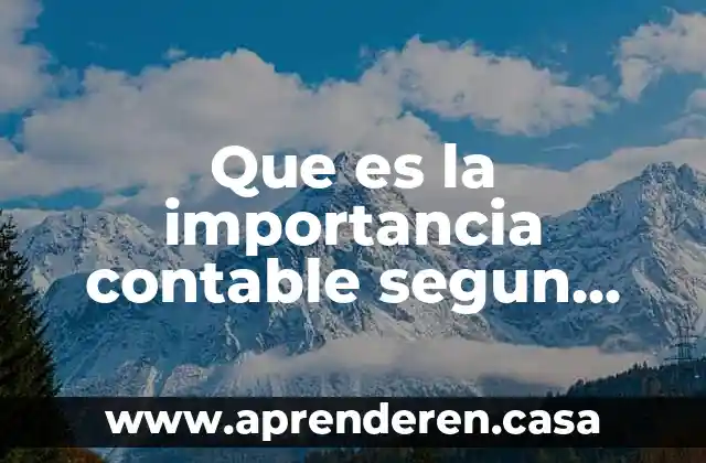 Que es la importancia contable segun autores