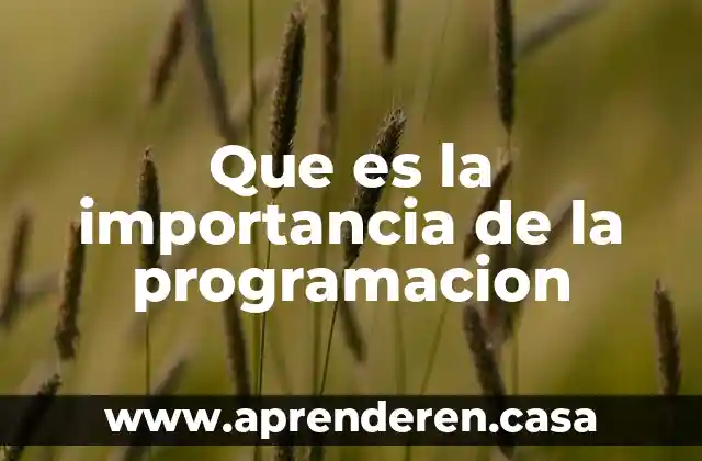 Que es la importancia de la programacion