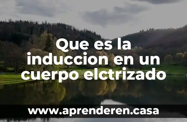 Que es la induccion en un cuerpo elctrizado