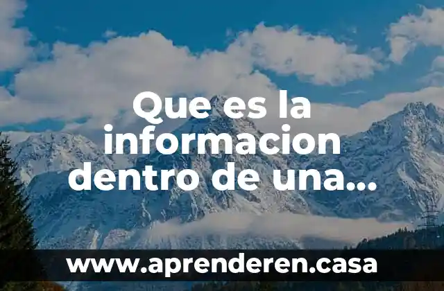 Que es la informacion dentro de una entrevista