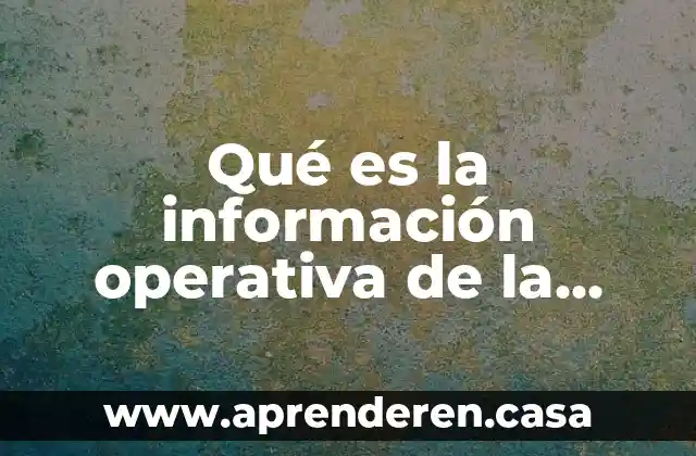 Qué es la información operativa de la empresa