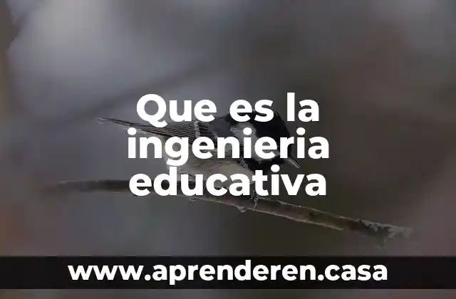 Que es la politica educativa internacional 3 Que es la ingenieria educativa