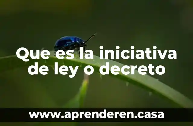 Que es la iniciativa cultural 7 Que es la iniciativa de ley o decreto