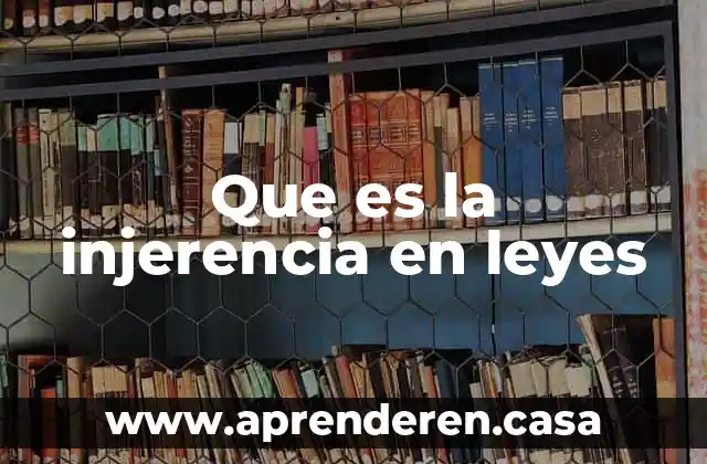 Que es la injerencia en leyes