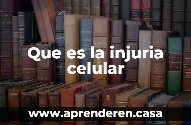 Que es un conector micro usb en un celular 4 Que es la injuria celular