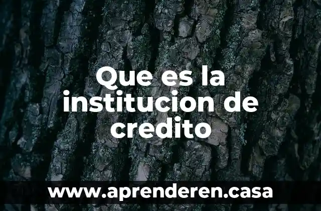 Que es la institucion de credito