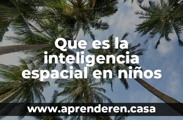 Que es la inteligencia espacial en niños