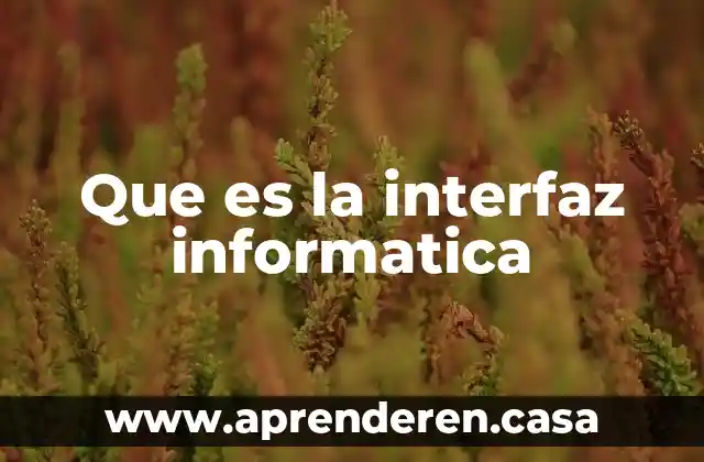 ¿Qué es PVM en informática? 4 Que es la interfaz informatica