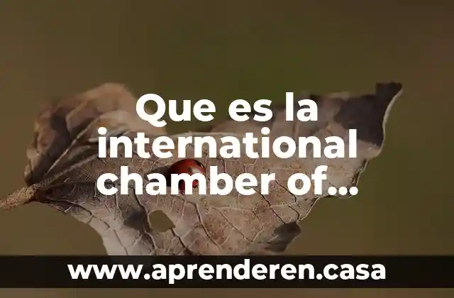 Que es la international chamber of commerce