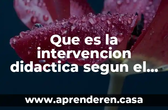 Que es la intervencion didactica segun el programa 2011