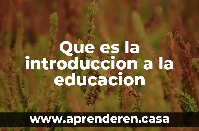 Que es la introduccion a la educacion