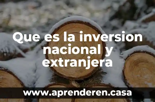 Que es la inversion nacional y extranjera