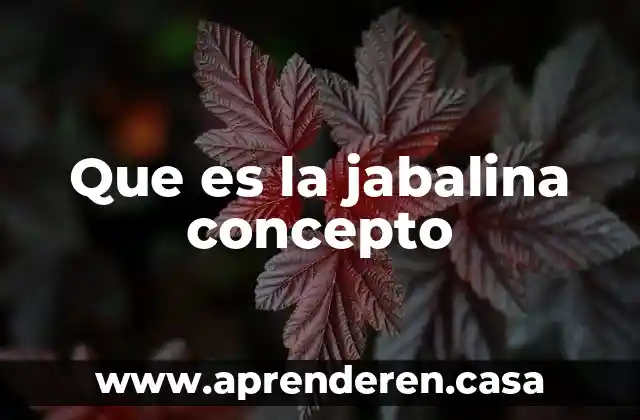 Que es la jabalina concepto