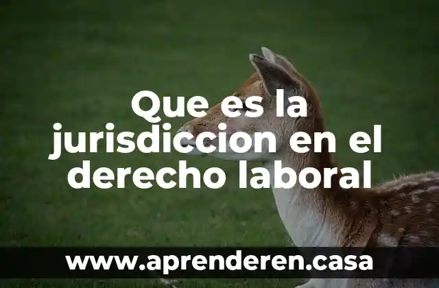 Que es la jurisdiccion en el derecho laboral
