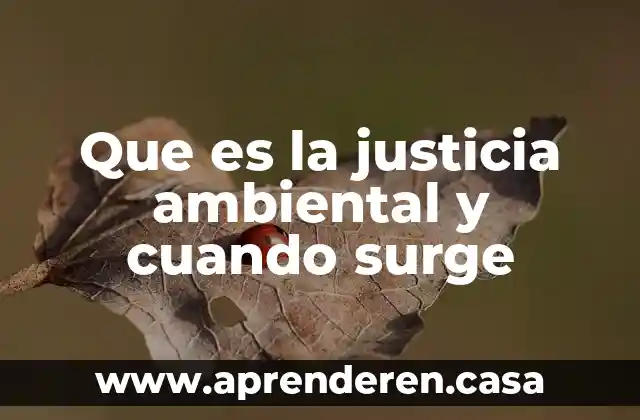 Que es la justicia ambiental y cuando surge