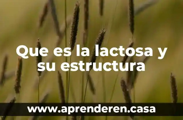Que es la lactosa y su estructura