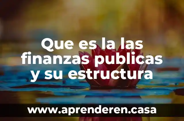 Que es la las finanzas publicas y su estructura