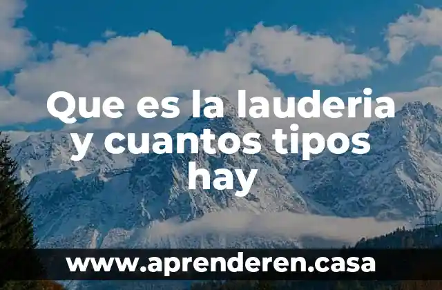 Que es la lauderia y cuantos tipos hay