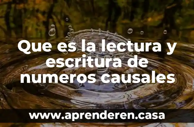 Que es la lectura y escritura de numeros causales